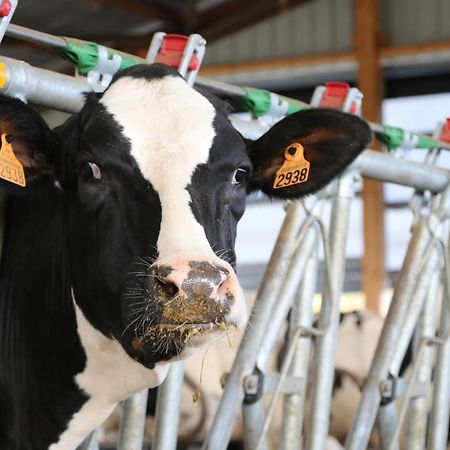 Le Thuit - F2 Plain Pied Tout Equipe A La Ferme Charleval  Kültér fotó