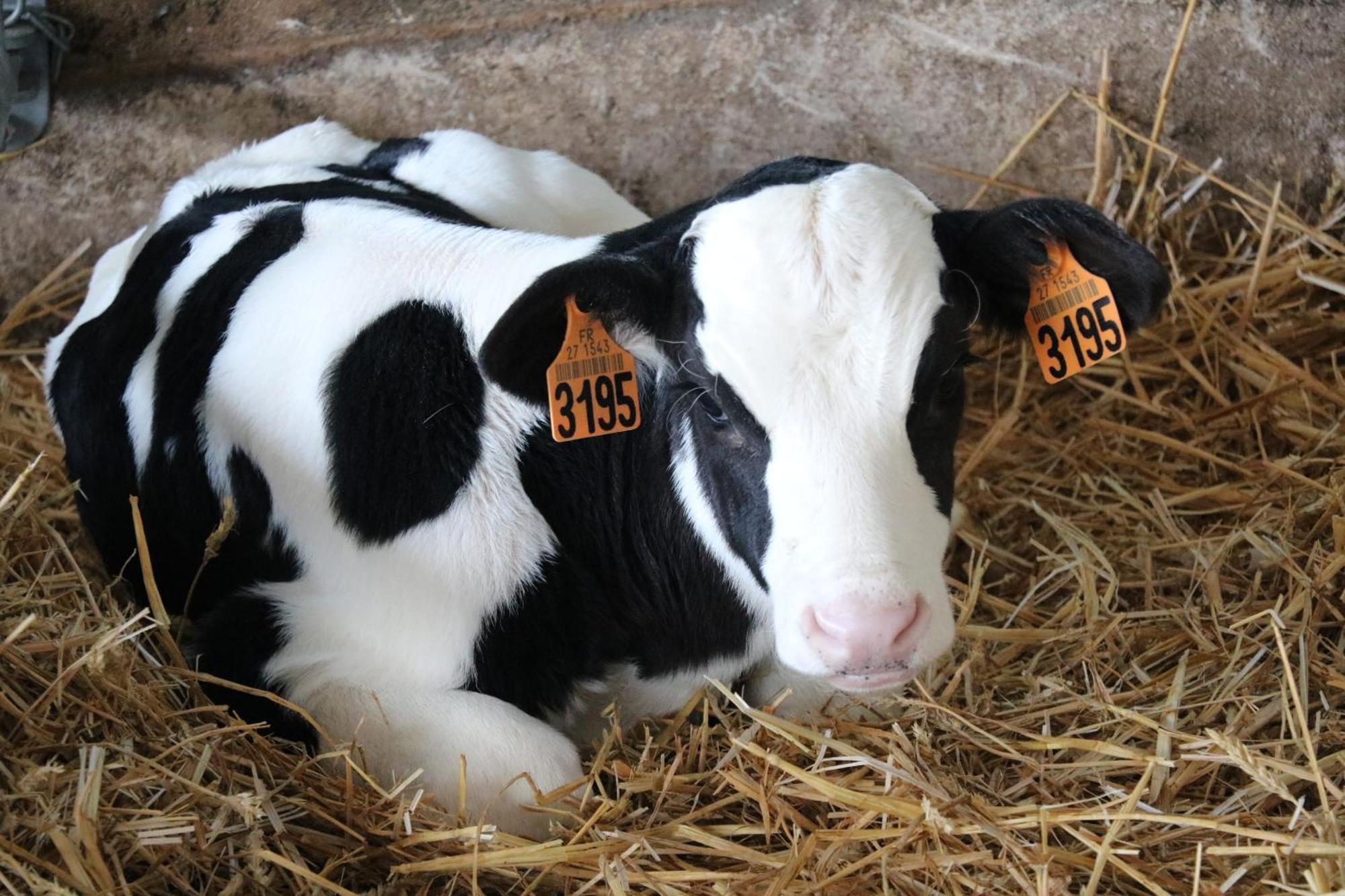 Le Thuit - F2 Plain Pied Tout Equipe A La Ferme Charleval  Kültér fotó