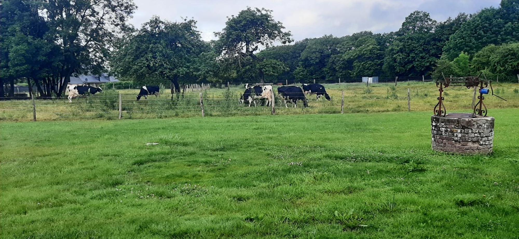Le Thuit - F2 Plain Pied Tout Equipe A La Ferme Charleval  Kültér fotó